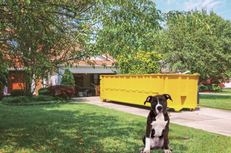 landscaping clean-up dumpster